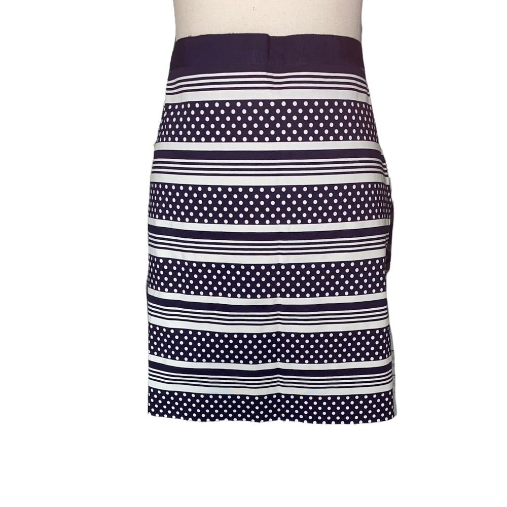Vineyard Vines Fairway Navy Blue & White Polka Dot Striped Mini Skirt - 10